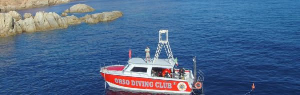 SARDEGNA Immersioni Arcipelago de La Maddalena e Corsica